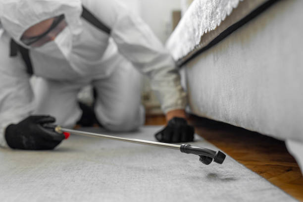 Professional Termite Control technician working in Bagdad, AZ