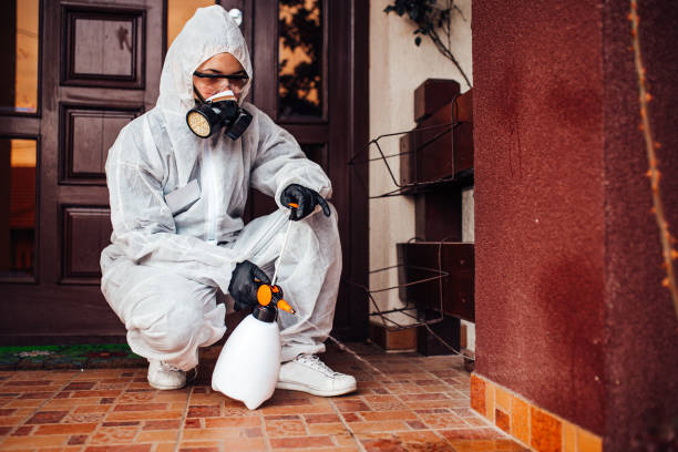 Reliable Termite Control contractor in Bagdad, AZ by Nex Pest Control